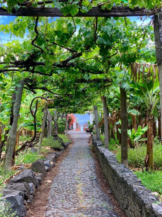 Faja Dos Padres Villa Ribeira Brava Eksteriør billede