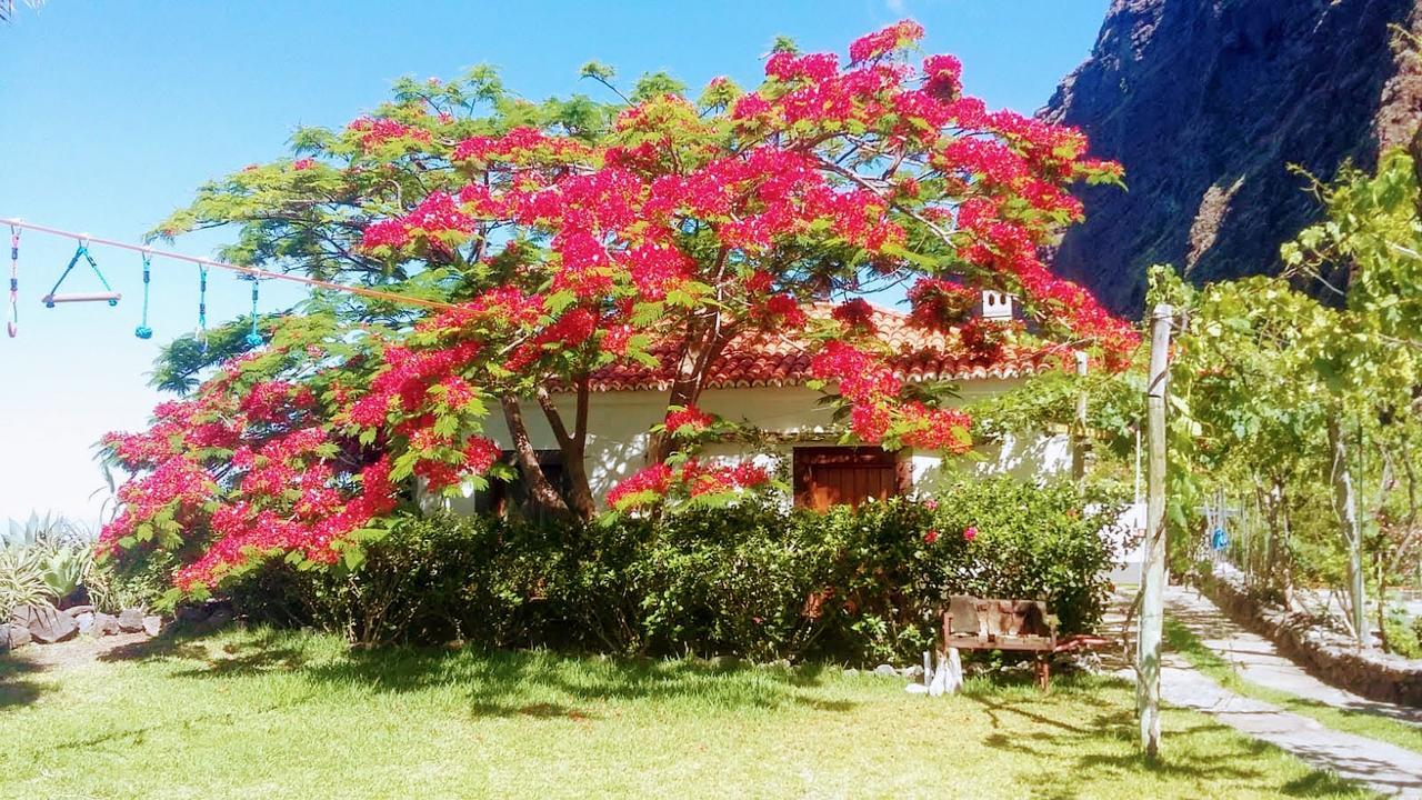 Faja Dos Padres Villa Ribeira Brava Eksteriør billede