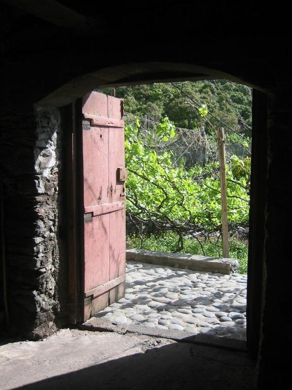 Faja Dos Padres Villa Ribeira Brava Eksteriør billede