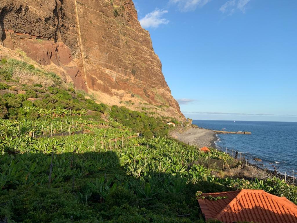 Faja Dos Padres Villa Ribeira Brava Eksteriør billede